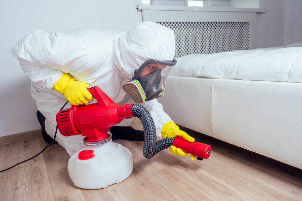 Best Local Pest Control Services  in White City, UT