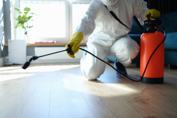 Professional Pest Control in White City, UT