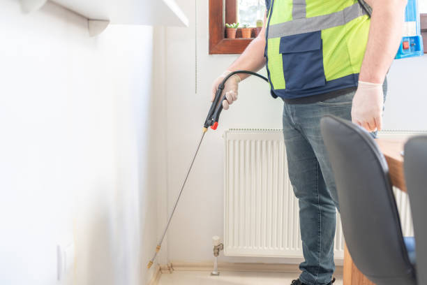 Best Mosquito Control Services  in White City, UT
