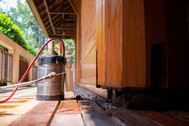 Best Pest Prevention Services  in White City, UT