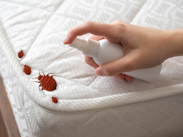 Pest Control Cost in White City, UT