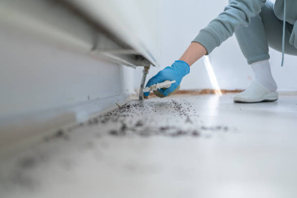Best Pest Control Near Me  in White City, UT