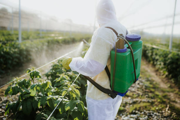 Best Commercial Pest Control Services  in White City, UT